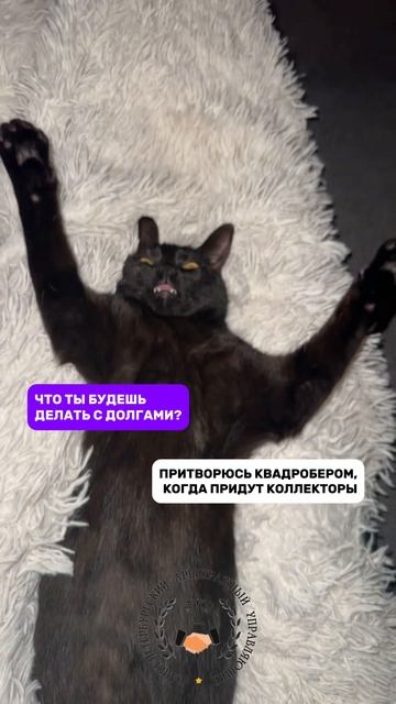 Достали банки и коллекторы? Спишите долги по ФЗ-127, консультация бесплатная 8 (812) 237-38-85