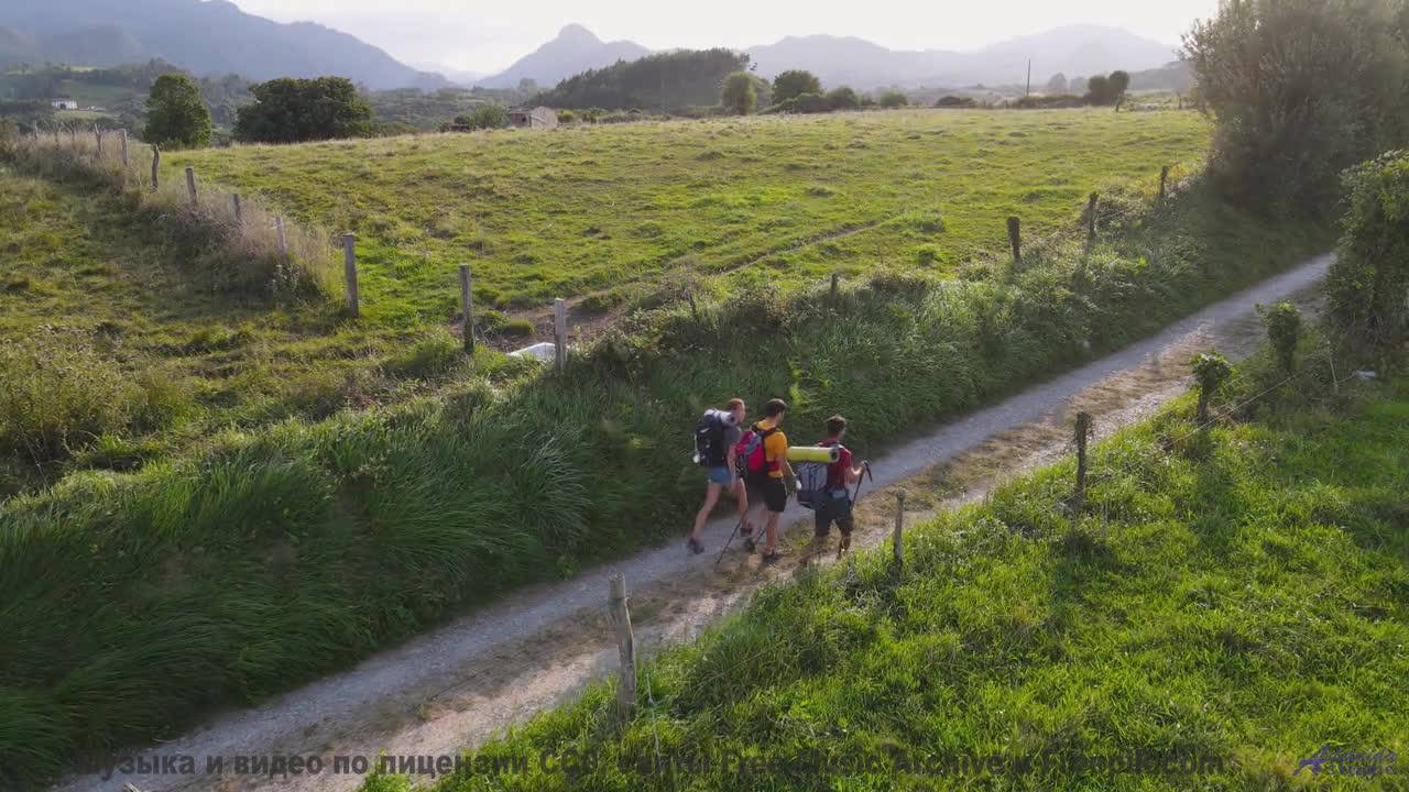 Почему этот лес НЕНАВИДИТ тишину - Shut up, or shut in -- HoliznaCC0 -- Lo-fi And Chill