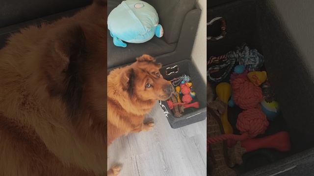 у королевишны хитропопой новое место для заначек