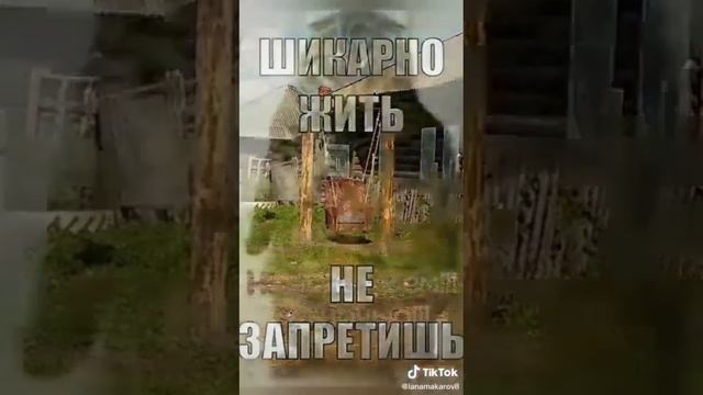 С Днём смеха, шуток и весёлого настроения!