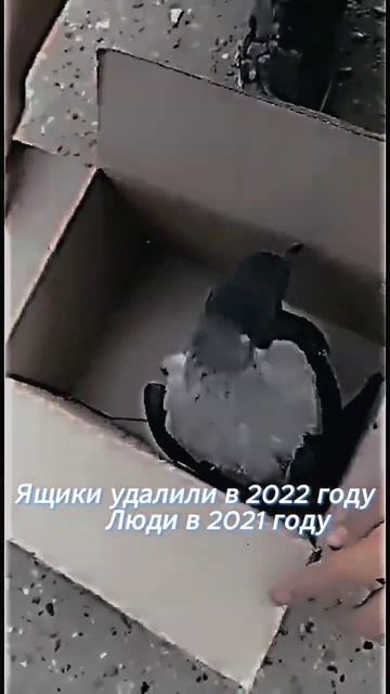 ворон съел название #бравлстарс #ящики #мегаящик #byebyebox