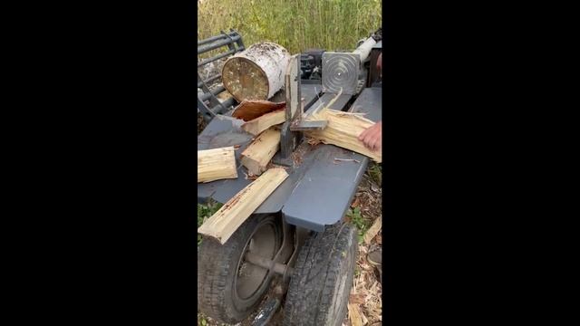 Горыныч - видео от покупателя