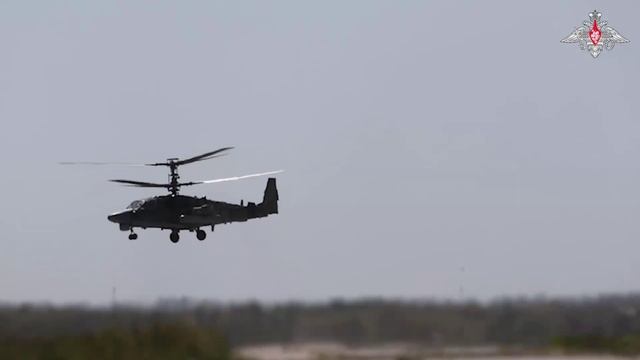 «Аллигатор» продолжает охоту на противника