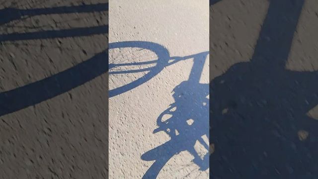 приключения помоему району четвёртая часть