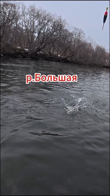 ХАРИУС РВЁТ ПОПЛАВОК! СМОТРИ ДО КОНЦА - ЭТО ШОК! 🎣💥