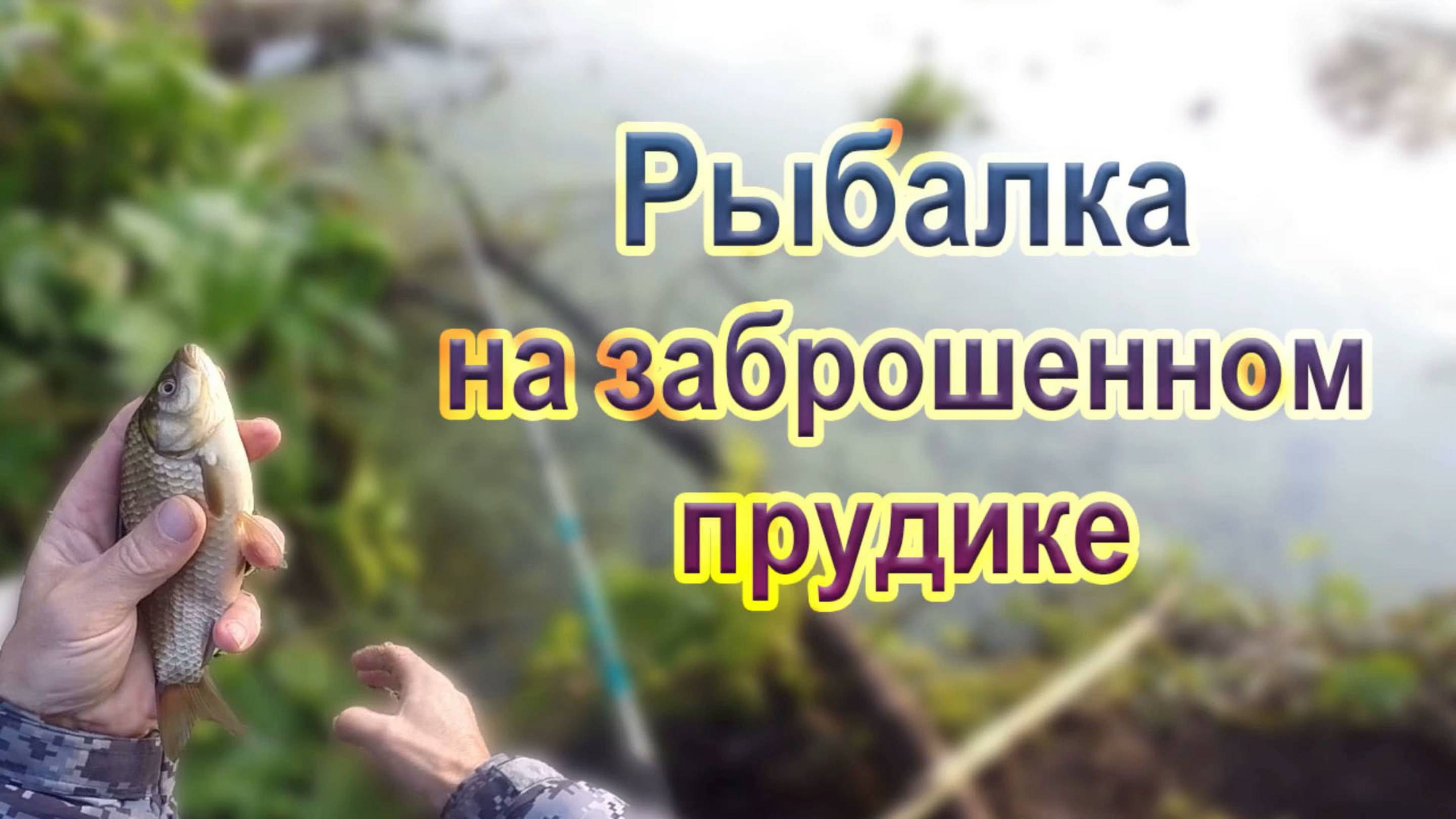 Рыбалка на заброшенном пруду. Карась клевал как очумелый!