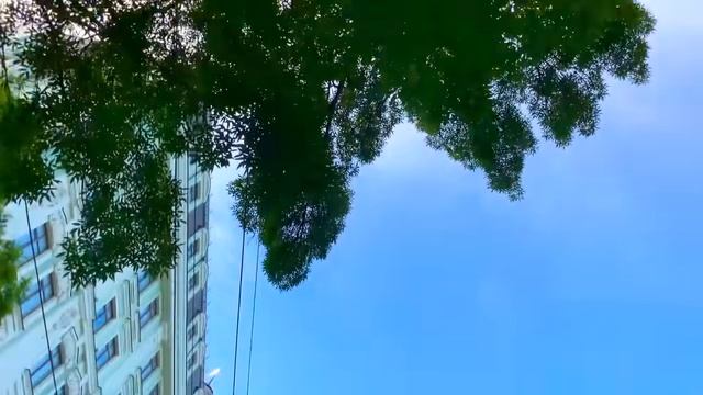 Мистер Макс Макс на лимузине - Катя на трамвае челлендж