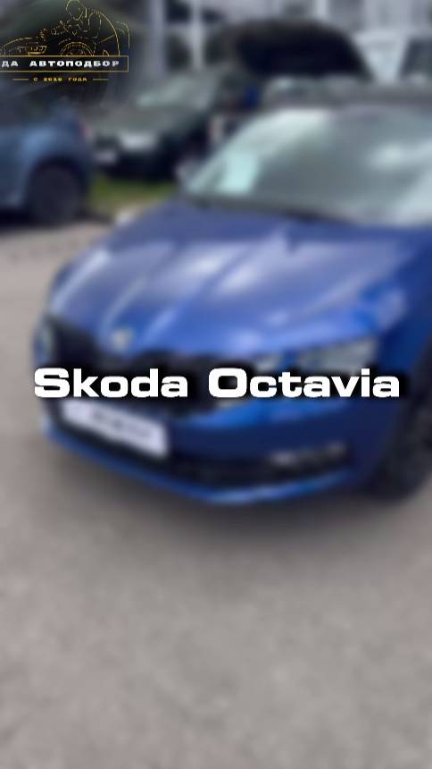 Как вы относитесь к марке Skoda?