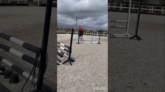 ES HORSE _01