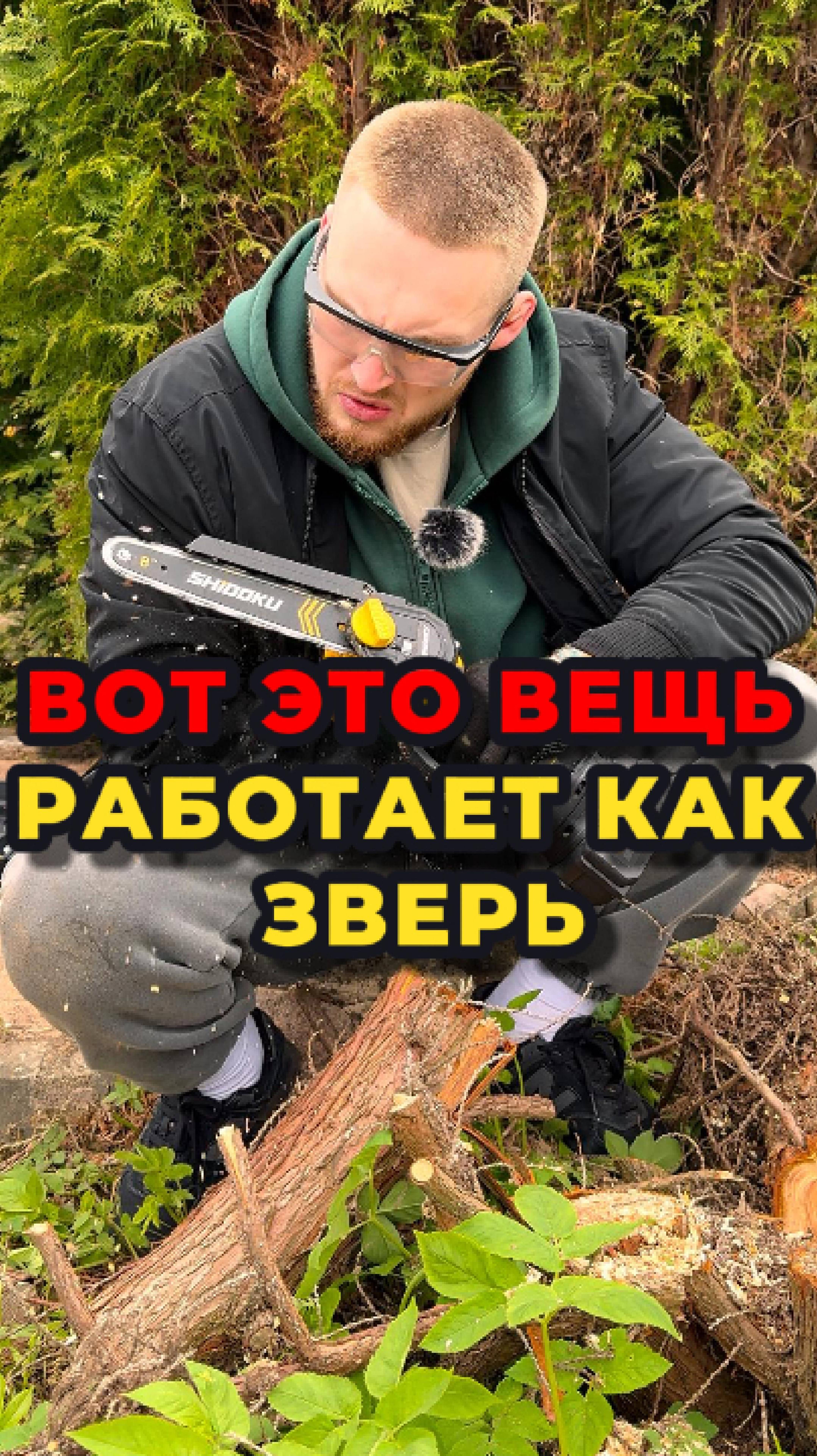 👉Как убрать с участка надокучившие пни? Не прибегая при этом к выкорчевыванию🪵