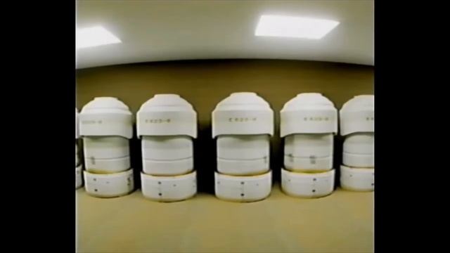 1000006251.mp4