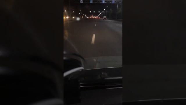 Гибель пчёл в 2019 мор пчёл Россия агрономы распространили химию катастрофа