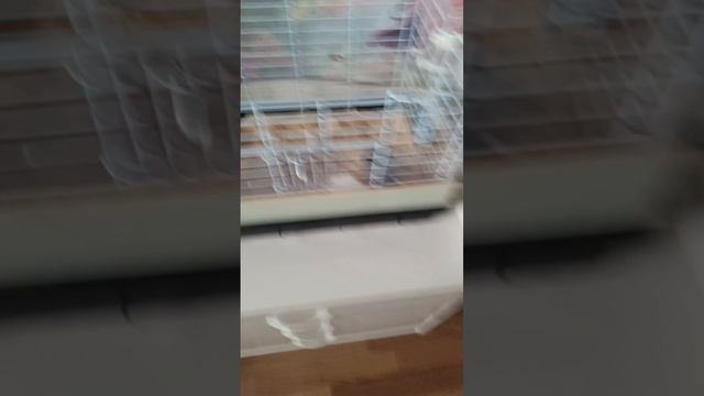 VLOG: Моë утро