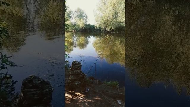 Рыбалка летом на Волге.  Клев.