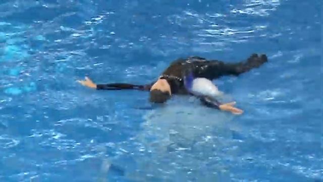 Сочи. Дельфинарий.