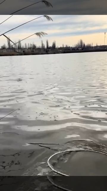 А на рыбалке хорошо. Утро начинается с трофея!