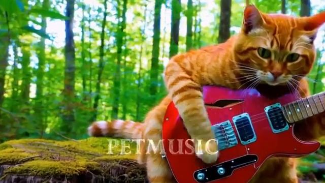 Кошки играют металл - музыкальный клип нейросеть