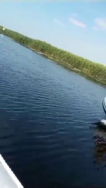 Самые лучшие рыбаки мира🇷🇺 #отдых #путешествие #fish #р