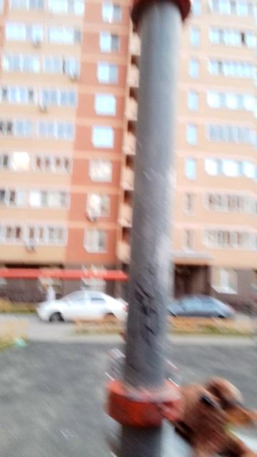 1000187083.mp4