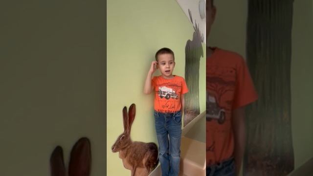 Заяц