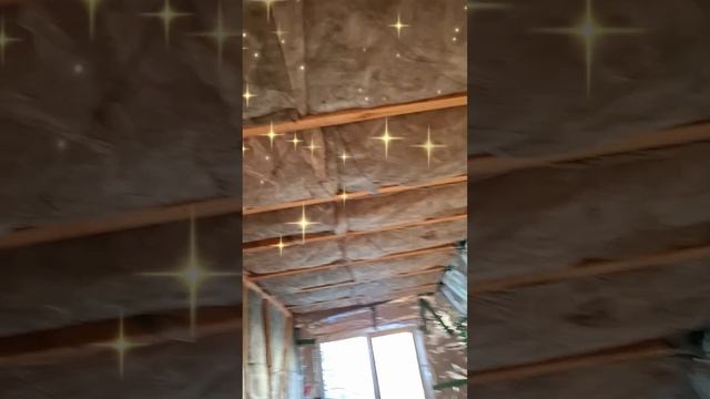 1000023780.mp4 (Собака наблюдает за утеплением нового дома А-фрейм)