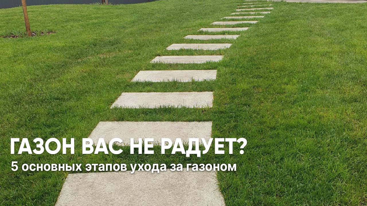 Уход за газоном: полный список необходимых мер