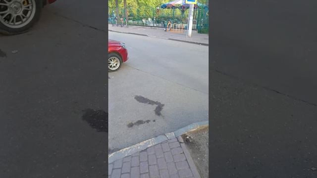 15-05-2025 парки Подмосковья