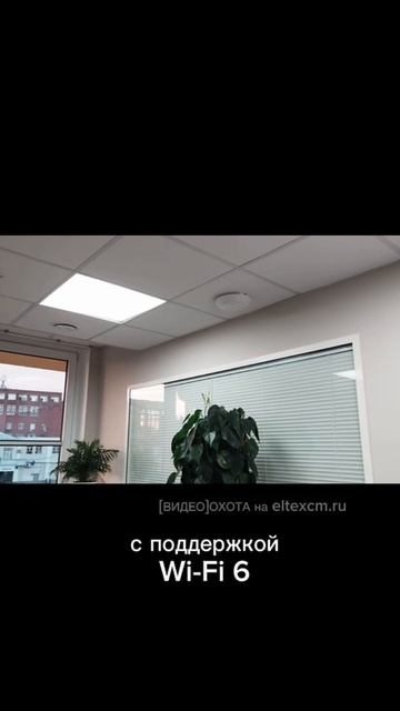 Точка доступа WEP-3ax Eltex. Видео[Охота] на eltexcm.ru