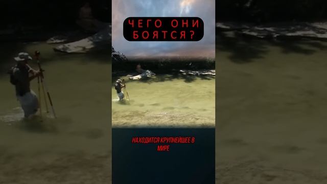 Почему от нас это скрывают?