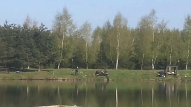 поимки карпа на большом водоёме