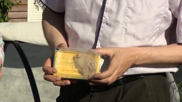 Как избавиться от почвенных вредителей Дачные сезоны 26 мая 2018