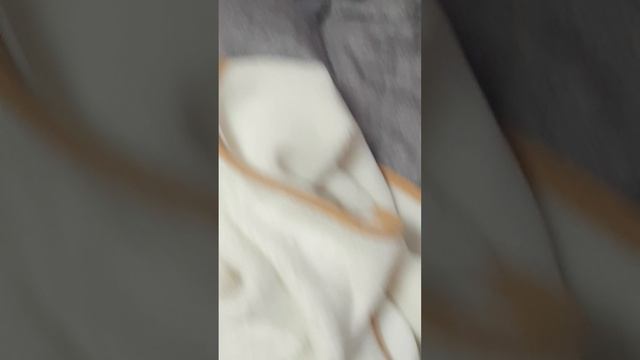 огурчик притворился что заболел