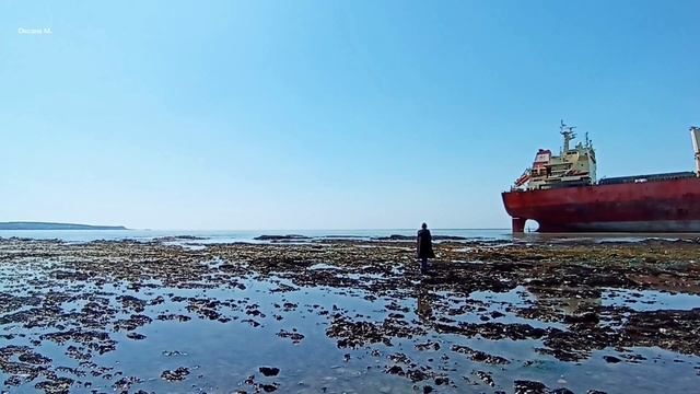 Севший на мель сухогруз в городе Невельск, Сахалин. Апрель 2025 года.mp4