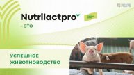 Nutrilactpro
