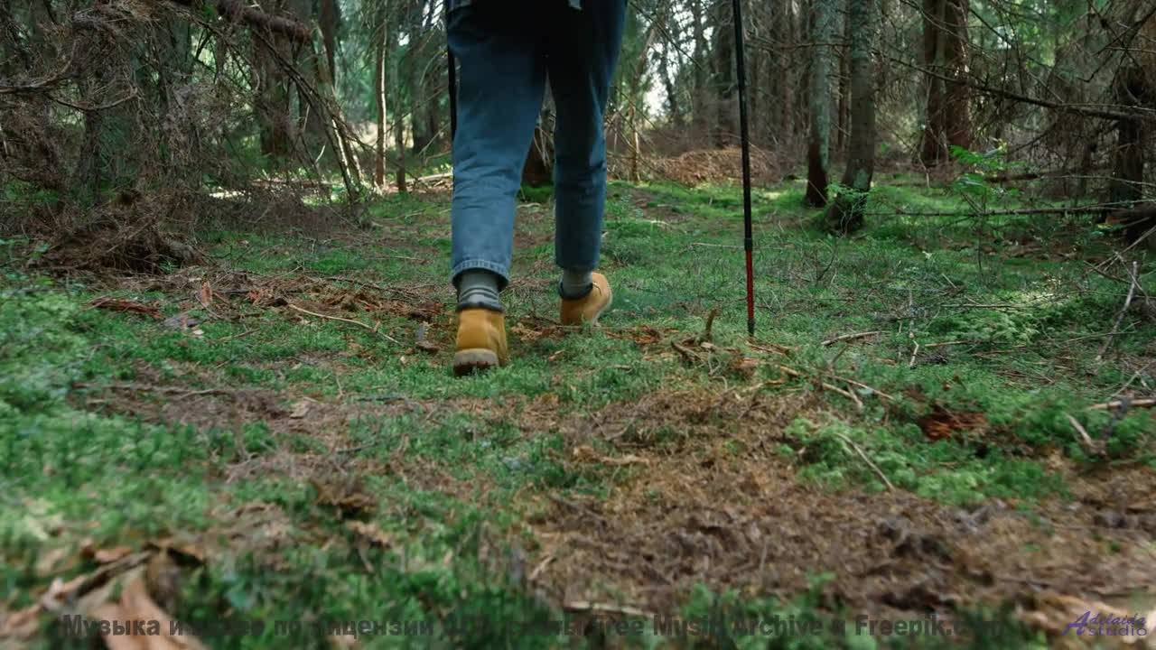 Музыка делает небо ближе и теплее - Drifting-on-Wood -- Ketsa -- Reflective Processes