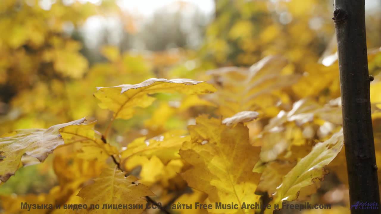 Пейзажи открываются, когда музыка входит в кровь - Little Bit Of Light -- Lance Romance -- Session O