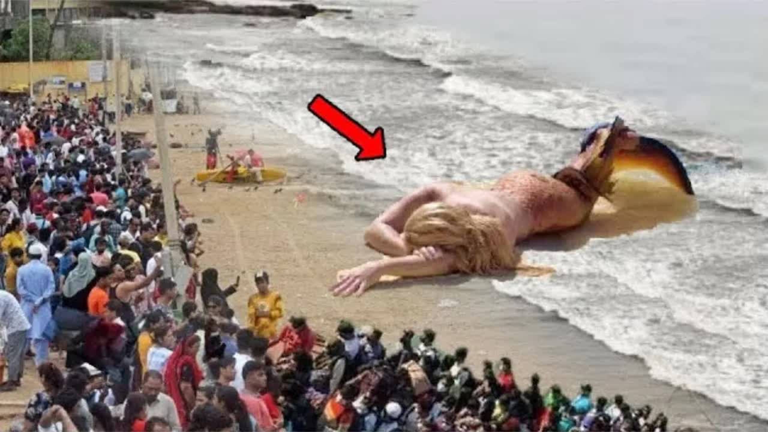 ЭТО СУЩЕСТВО НЕ ДОЛЖНО СУЩЕСТВОВАТЬ! УЧЁНЫЕ В ШОКЕ ОТ ЭТИХ КАДРОВ!