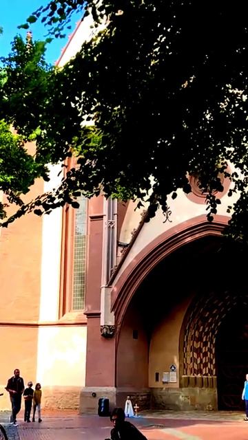 Камера покажет правду