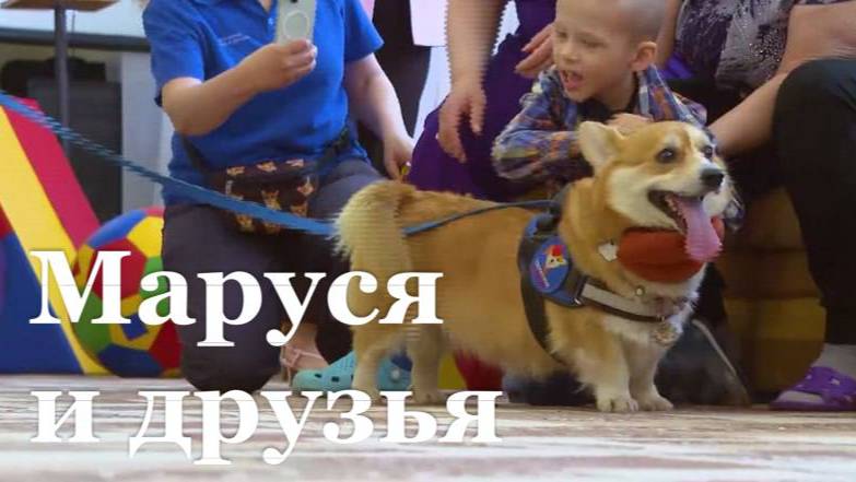 Корги-отряд «Маруся и друзья» посетили Луганский центр «Возрождение»
