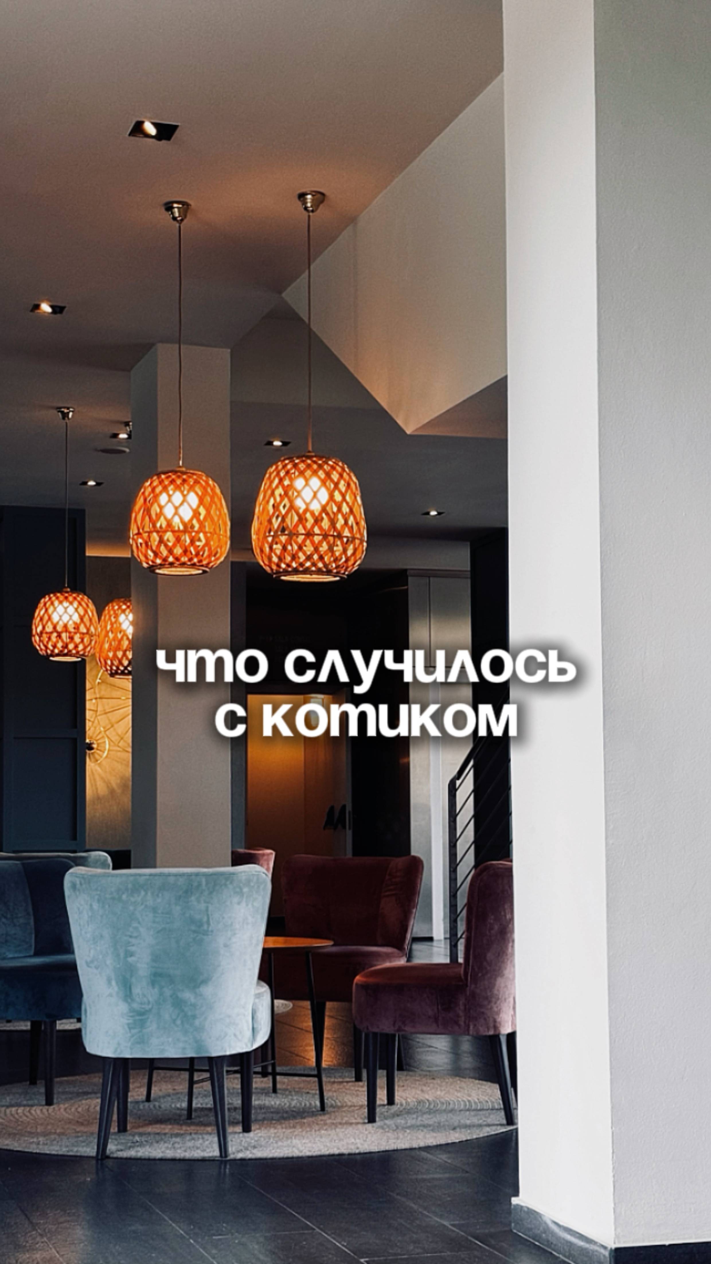 Что случилось с котиком