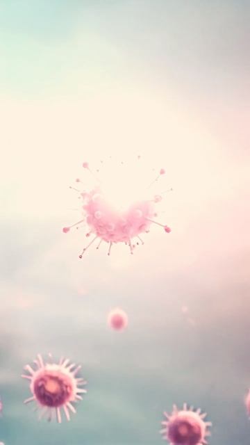 1d3b659c-3744-4c8c-a772-b05896aab895 (1)