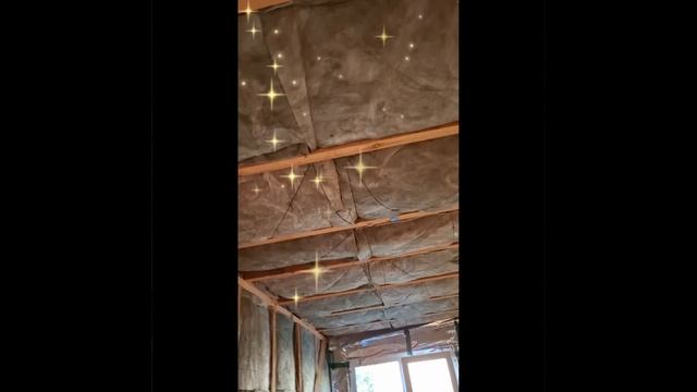 1000023803.mp4 (Собака наблюдает за утеплением нового дома А-фрейм)