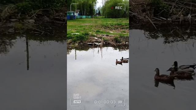 Работе время, а отдыху жизнь! @sibdata