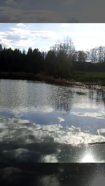 VID_20250508_172949.mp4