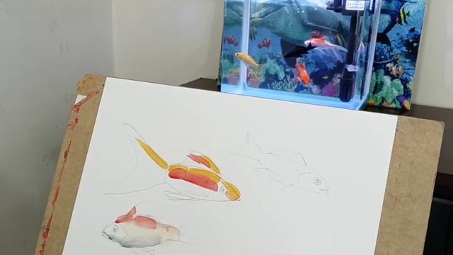 рисунок с натуры акварелью | نرسم الأسماك بألوان مائية