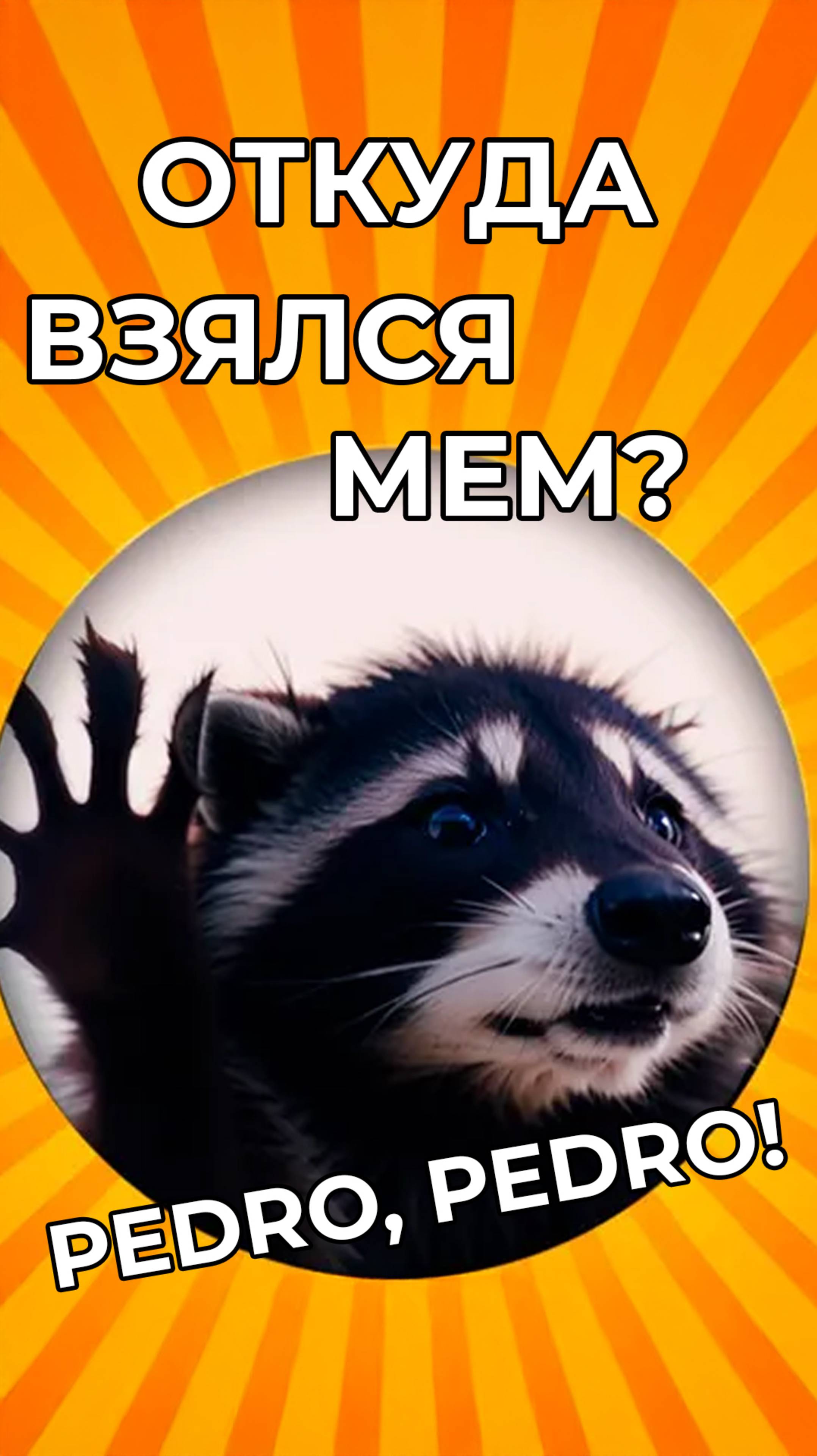 Откуда взялся енот Педро Педро? #мем #мемы #memes #meme #mem #юмор #мемас #приколы #еноты #педро