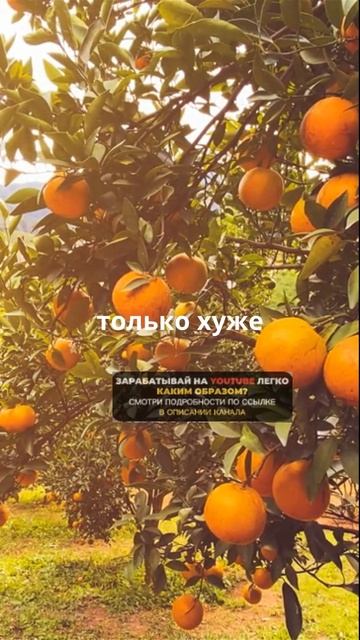 4 грустных факта!