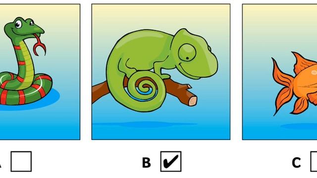 Task 3 Question 1