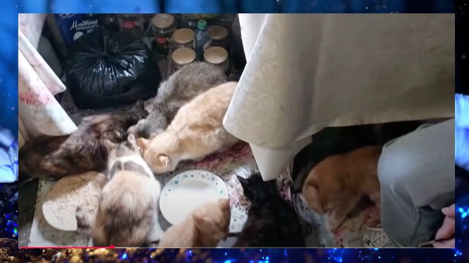 ГОСПОДИ НЕ ДАЙ БОГ ОСТАТЬСЯ ОДНОЙ  А ВОКРУГ ТИШИНА