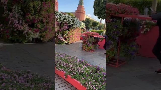 Фестиваль цветов..